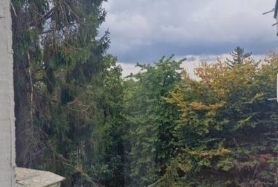 Oferta Rara-4 camere-Gradina Botanica-Parcul Expozitiei - 14