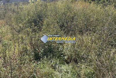 Teren Construcții intravilan de 500 mp, în Cetate - 3