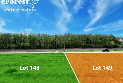 Terenuri premium de vanzare, langa padure, acces asfaltat din DN1A - 9