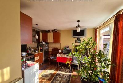 Casa D+P+1, situata in Curtisoara - 4