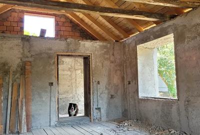 Casa de vanzare la tara - 9