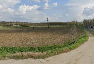 Teren de 7500 mp, în Cernele - 4