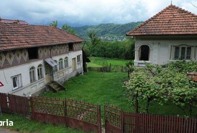 Casă cu 5 camere cu Teren 3600 Mp în Vulturești - 5