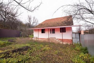 RECO Casa de vacanta la Holod- langa padure- teren 2190mp - 14