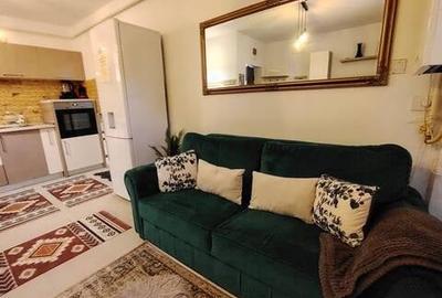 Apartament 2 C. parcare privata Palas Mall ,Centru, Palatul Culturii - 5