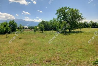 Teren intravilan 5000 mp pe Valea Avrigului, Sibiu - 2