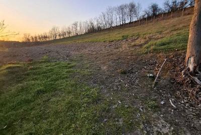 Teren de 2422 mp, în Șumugiu - 1