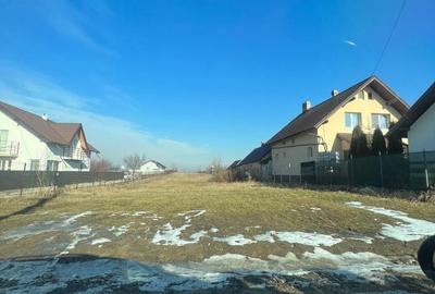 Spațiu comercial, în Ipotești - 5