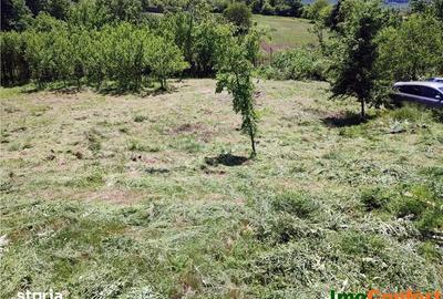 Teren de 290 mp, în Bârnova - 5