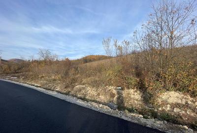 Spațiu comercial, în Eșelnița - 5