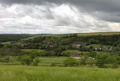 Teren de 7200 mp, în Esechioi - 5