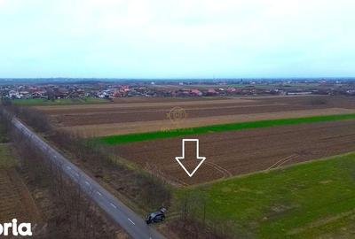 Teren de 4300 mp, în Odoreu - 3