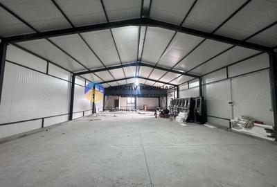 Hala de inchiriat 280 mp Piatra Neam? - 13