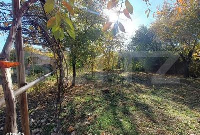 OPORTUNITATE TEREN 0,9 Ha intravilan constructii+extravilan - 7