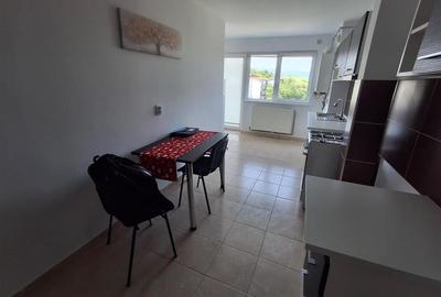 Apartament cu 3 camere semidecomandat în Tilișca - 4