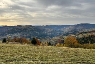 Teren Comuna Horea 17278m2. Apuseni - 7