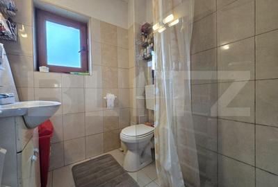 Casa individuala de 130 mp cu 691 mp teren in Dezmir intr-o zona aerisita - 17