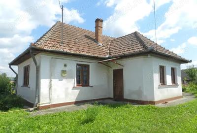 Casa de vanzare-Gheja-Ludus - 2