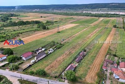 AZURA Imobiliare - Teren Budeasa Galasesti Calotesti - 6
