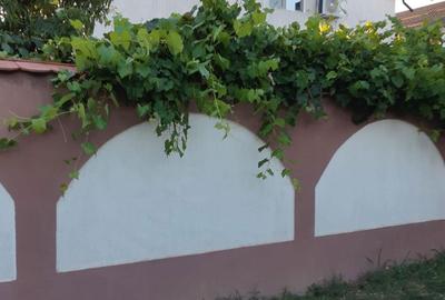 Casă cu 4 camere în Dragomirești-Vale - 2