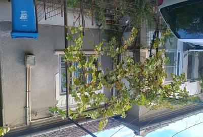 Casă cu 4 camere cu Teren 504 Mp în Central - 6