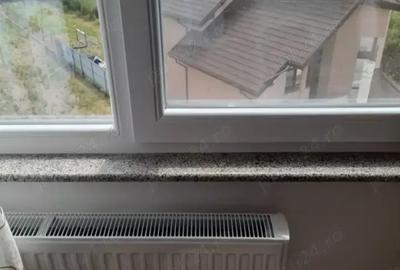 Apartament cu 2 camere semidecomandat în Drăgășani - 3