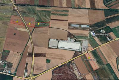 Teren de 5.94 mp, în Șag