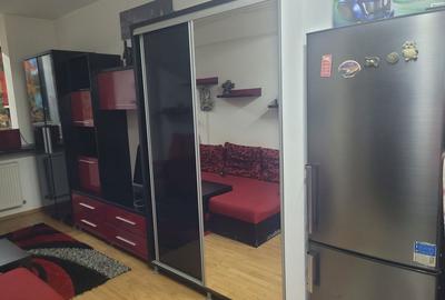 Apartament cu 2 camere semidecomandat în Runcu - 7