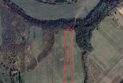 Teren de 5500 mp, în Ghirdoveni - 1