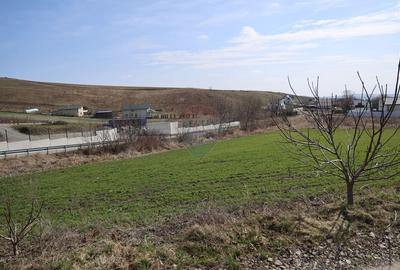 Teren Construcții intravilan de 3500 mp, în Moara - 6