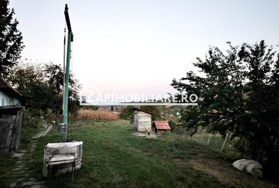 De vanzare 2 case cu 4.900 mp teren, Livezeni 0% comision - 10