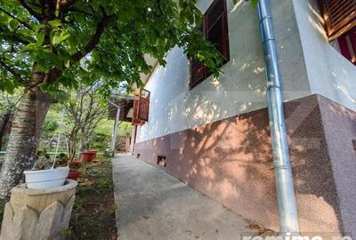 Casă cu 5 camere cu Teren 40000 Mp în Șard - 8