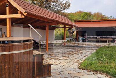 Casă cu 2 camere cu Teren 1883 Mp în Sâncraiu - 12