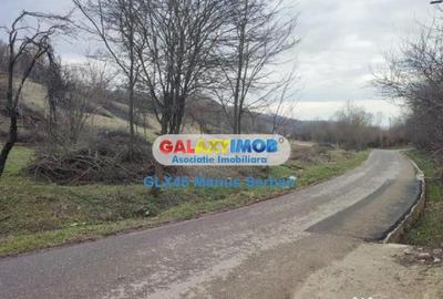 Teren în Răzvad - 5