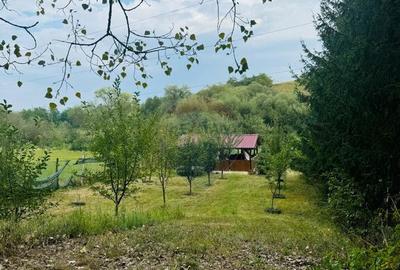 Teren Drumul Buzdului cu o cabana mica - 6