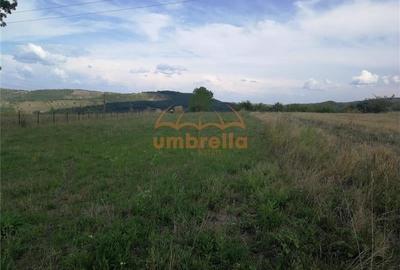 De vanzare teren 1.800/? intrav. in Deus- Chinteni ! - 9