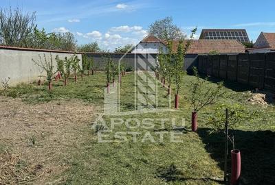 Casa cu piscina si 5 camere in Dinias - 14