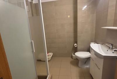 Garsonieră decomandată în Teilor - 4