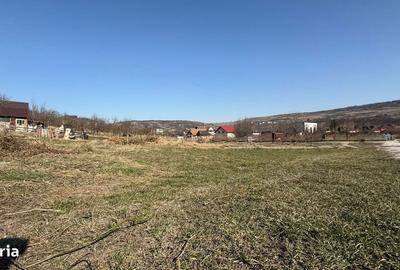 Spațiu comercial, în Chinteni - 3