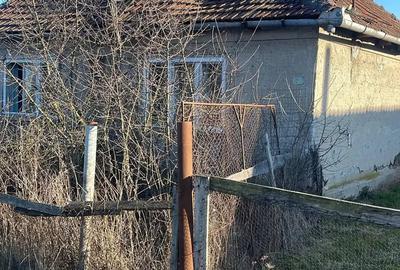 Teren de 2881 mp, în Ciuperceni - 4