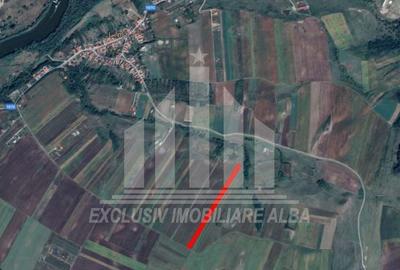 Teren agricol extravilan de 8000 mp, în Ciugud - 2