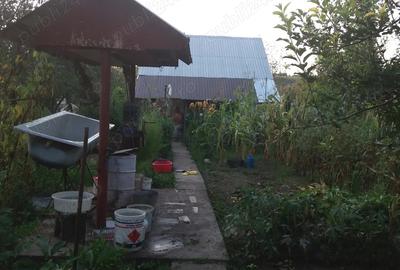 Vand urgent casa de vacanta o camera cu pod in Ghizdaru - 3