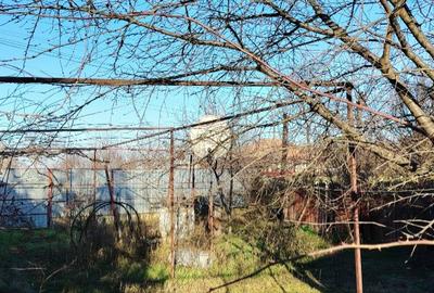 Teren Intravilan 1312mp + casuta si anexe Movila Banului, Buzau - 3