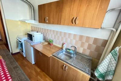 Apartament cu 1 camera - zona Tatarasi Sud - 11