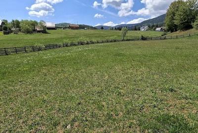 Teren de 6924 mp, în Arieșeni - 2