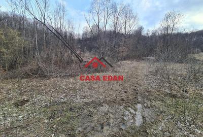 Teren de 3448 mp, în Provița de Jos - 5