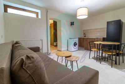 Vila interbelica AIRBNB "la cheie" - 18