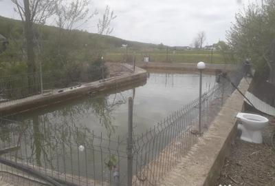 Casă cu 4 camere cu Teren 2000 Mp în Chilișeni - 9