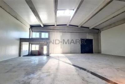 Spatiu industrial de inchiriat, 523 mp, Timisoara exterior NORD - 5