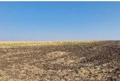 Teren extravilan Putineiu, ID: R2718957 - 9